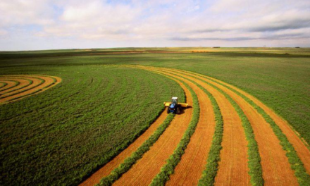Conheça as tendências para a agroindústria com a Autotravi