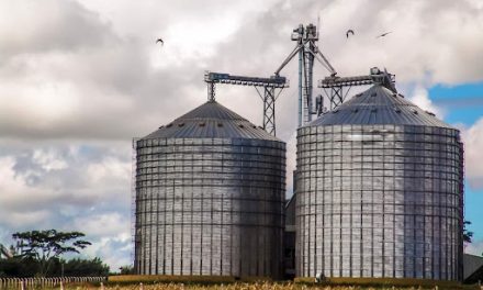 Armazenamento em silos: estratégias para evitar perdas e maximizar os lucros na comercialização de grãos